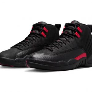 Air Jordan 12 "Bloodline"